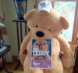 Mr Teddy